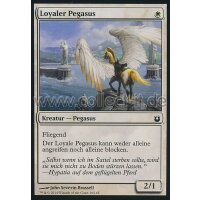 019 Loyaler Pegasus