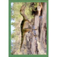 Sticker 39 - Dinosaurier 2022