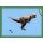 Sticker 113 - Dinosaurier 2022