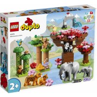 LEGO® DUPLO® 10974 Wilde Tiere Asiens