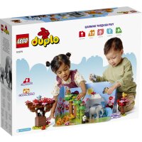 LEGO® DUPLO® 10974 Wilde Tiere Asiens