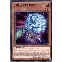 POTE-DE021 - Brilliante Rose  - 1. Auflage