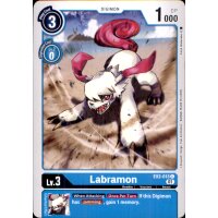 EX2-013 - Labramon - Common