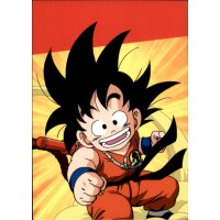 D030 - Son-Goku Überschallwolke - 2022