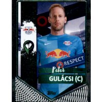 Sticker 369 Peter Gulacsi (Captain) - Parallel GRÜN...