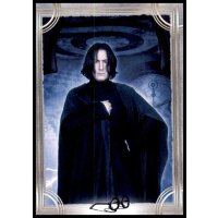 13 - Harry Potter - Trading Cards - 2022