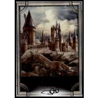 14 - Harry Potter - Trading Cards - 2022