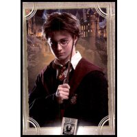 60 - Harry Potter - Trading Cards - 2022