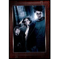 61 - Harry Potter - Trading Cards - 2022