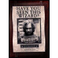 63 - Harry Potter - Trading Cards - 2022