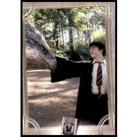 65 - Harry Potter - Trading Cards - 2022