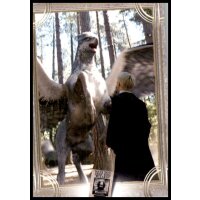67 - Harry Potter - Trading Cards - 2022