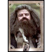 69 - Harry Potter - Trading Cards - 2022
