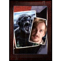 72 - Harry Potter - Trading Cards - 2022