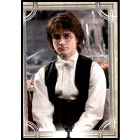 107 - Harry Potter - Trading Cards - 2022