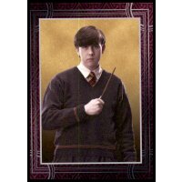 115 - Harry Potter - Trading Cards - 2022