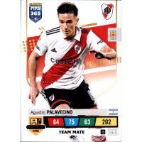 15 - Agustin Palavecino - Team Mate - 2023