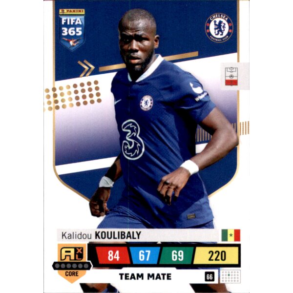 66 - Kalidou Koulibaly - Team Mate - 2023