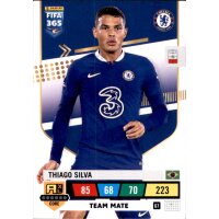 67 - Thiago Silva - Team Mate - 2023