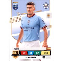 107 - Rodri - Team Mate - 2023