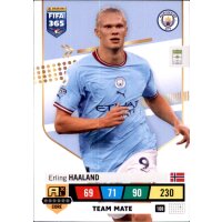 108 - Erling Haaland - Team Mate - 2023