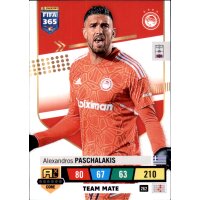 262 - Alexandros Paschalakis - Team Mate - 2023