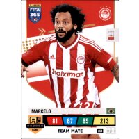 264 - Marcelo - Team Mate - 2023