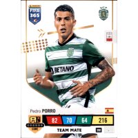 390 - Pedro Porro - Team Mate - 2023