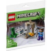 LEGO Minecraft 30647 - Die Tropfsteinhöhle