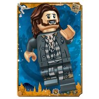 Karte 9 - LEGO Harry Potter - Reise in die Zauberwelt