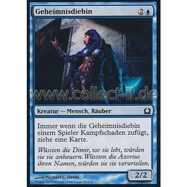 053 Geheimnisdiebin