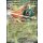 015/197 - Silvarro EX - Double Rare - OBF Karmesin & Purpur