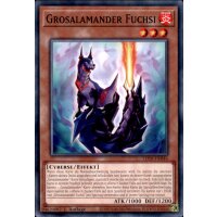 LD10-DE046 - Grosalamander Fuchsi - 1. Auflage