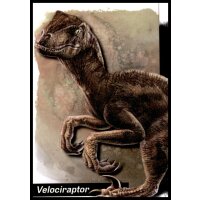 20 - Leading Dinosaurs - Wrinkled Card - Jurassic Park 30...