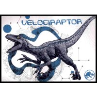 117 - Dinosaurs Live Here - Wrinkled Card - Jurassic Park...