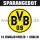 Mannschafts-Paket - SAISON 08/09 - Borussia Dortmund