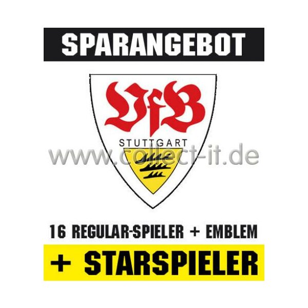 Mannschafts-Paket mit beiden Starspielern - SAISON 08/09 - VfB Stuttgart