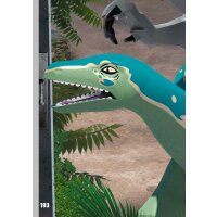 193 - Dschungelausbruch - Puzzelkarte - Serie 3