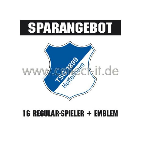 Mannschafts-Paket - 1899 Hoffenheim - Saison 09/10