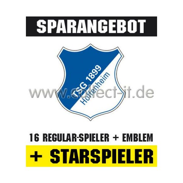 Mannschafts-Paket mit beiden Starspielern - 1899 Hoffenheim - Saison 09/10