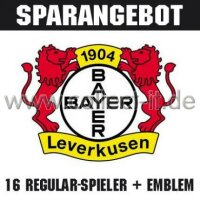 Mannschafts-Paket - Bayer 04 Leverkusen - Saison 09/10