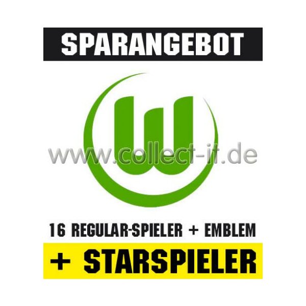 Mannschafts-Paket mit beiden Starspielern - VfL Wolfsburg - Saison 09/10