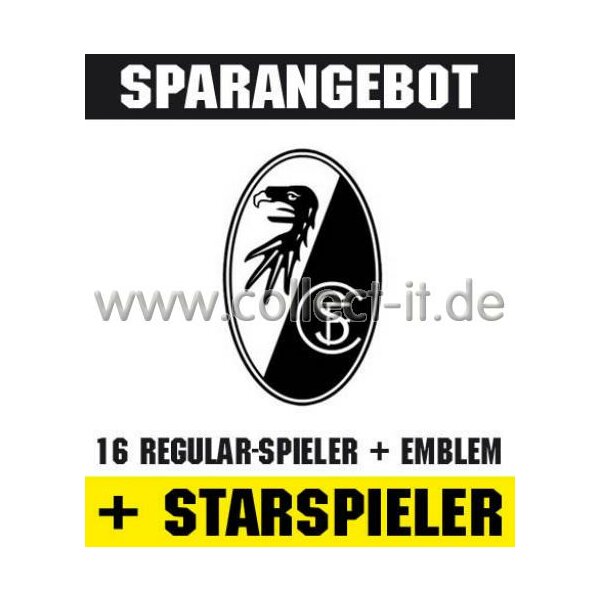 Mannschafts-Paket mit beiden Star-Spielern - SC Freiburg - Saison 2010/11