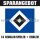 Mannschafts-Paket - Hamburger SV - Saison 2010/11