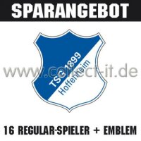 Mannschafts-Paket - 1899 Hoffenheim - Saison 2010/11