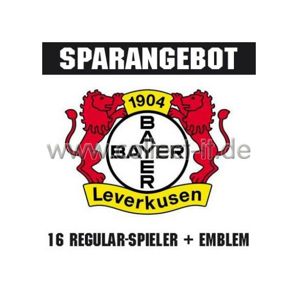 Mannschafts-Paket - Bayer 04 Leverkusen - Saison 2010/11