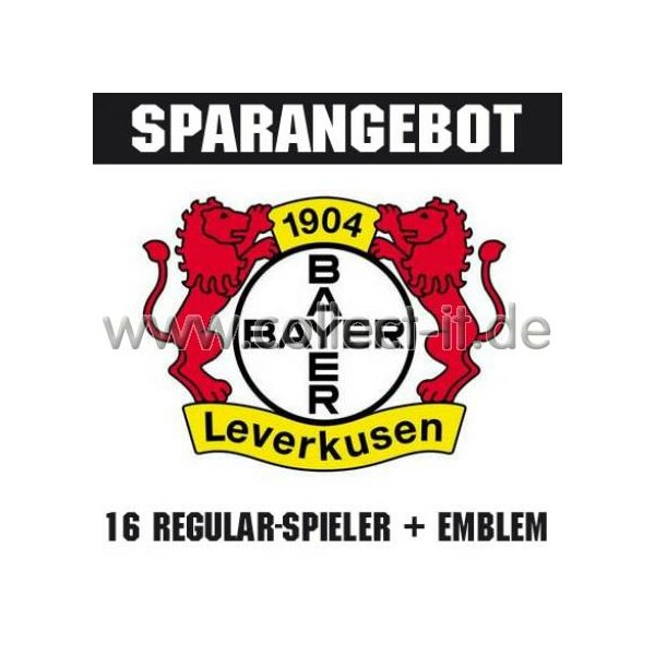 Mannschafts-Paket - Bayer 04 Leverkusen - Saison 2011/12