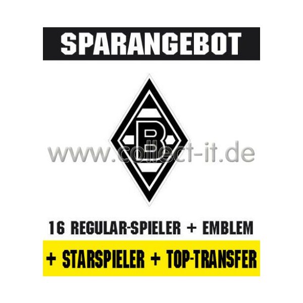 Mannschafts-Paket mit Starspieler und Top-Transfer - Borussia Mönchengladbach - Saison 2011/12