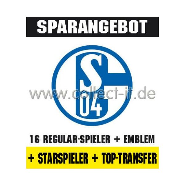 Mannschafts-Paket mit Starspieler und Top-Transfer - FC Schalke 04 - Saison 2011/12