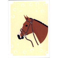 Sticker 102 - Pferde - Meine Reiterwelt